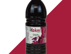 6 Adet 2 LT Acısız Şalgam Suyu